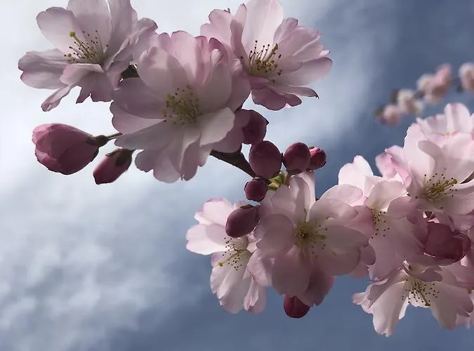 Zajazd De La Lande 3*